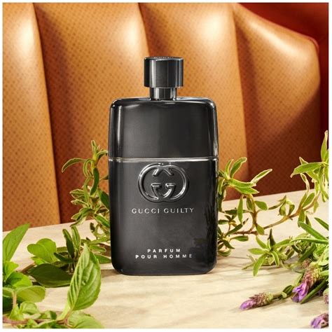 gucci pour homme priceline|Gucci guility pour homme.